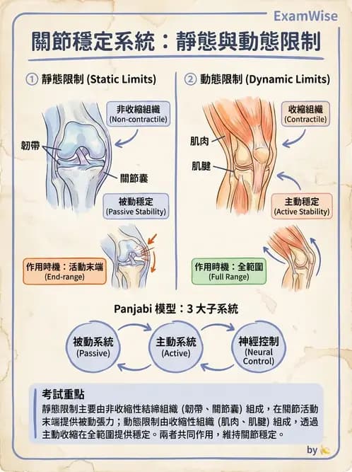 物治 - 組織生物力學 - AI 圖文解析預覽