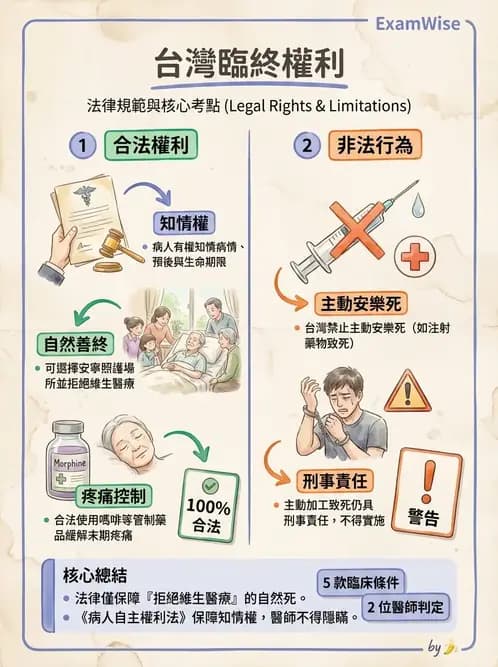 物治 - 病人權益與知情同意 - AI 圖文解析預覽