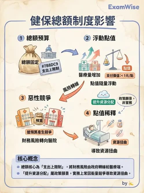 物治 - 全民健保制度 - AI 圖文解析預覽