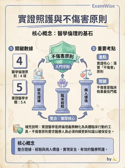 物治 - 實證概念與發展 - AI 圖文解析預覽