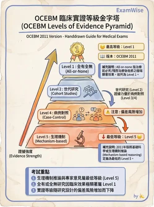 物治 - 實證概念與發展 - AI 圖文解析預覽
