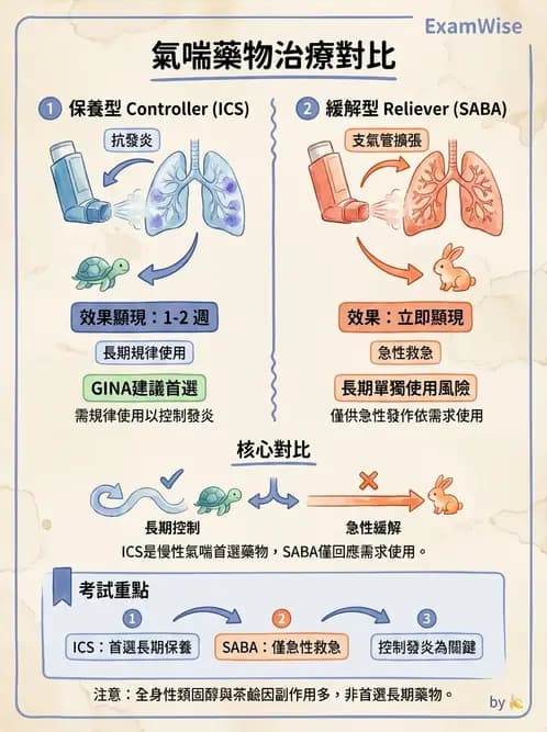 物治 - 心肺系統疾病 - AI 圖文解析預覽
