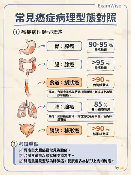 物治 - 腫瘤與其他臨床醫學 - AI 圖文解析預覽