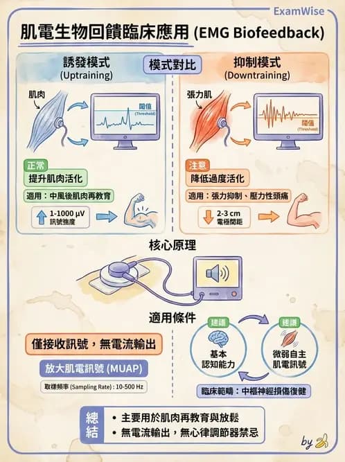 物治 - 肌電生物回饋 - AI 圖文解析預覽