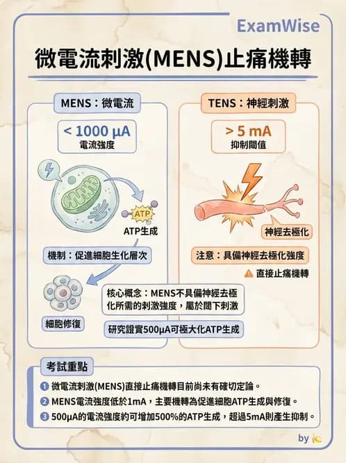 物治 - 物理因子特殊應用 - AI 圖文解析預覽