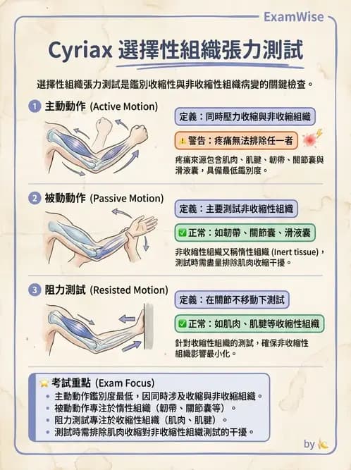 物治 - ROM通則與關節運動 - AI 圖文解析預覽