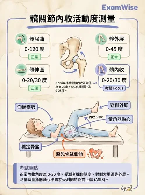 物治 - 下肢與脊椎關節活動度 - AI 圖文解析預覽