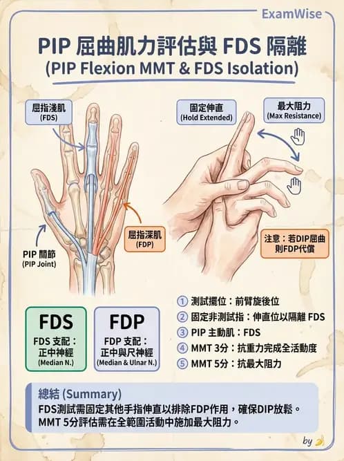 物治 - 上肢徒手肌力測試 - AI 圖文解析預覽