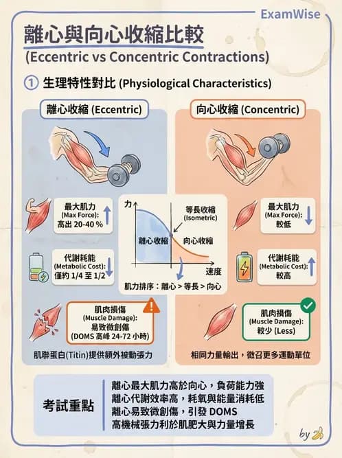 物治 - 肌力訓練方法 - AI 圖文解析預覽