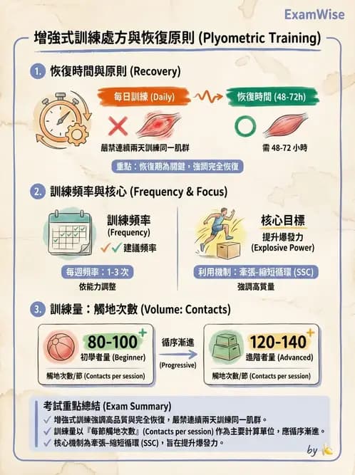 物治 - 核心穩定與功能性訓練 - AI 圖文解析預覽