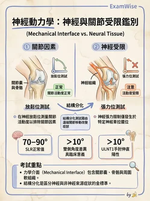 物治 - 神經鬆動術 - AI 圖文解析預覽