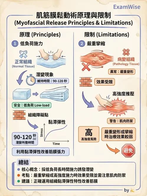 物治 - 深層摩擦按摩與結締組織技術 - AI 圖文解析預覽