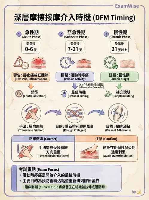 物治 - 深層摩擦按摩與結締組織技術 - AI 圖文解析預覽