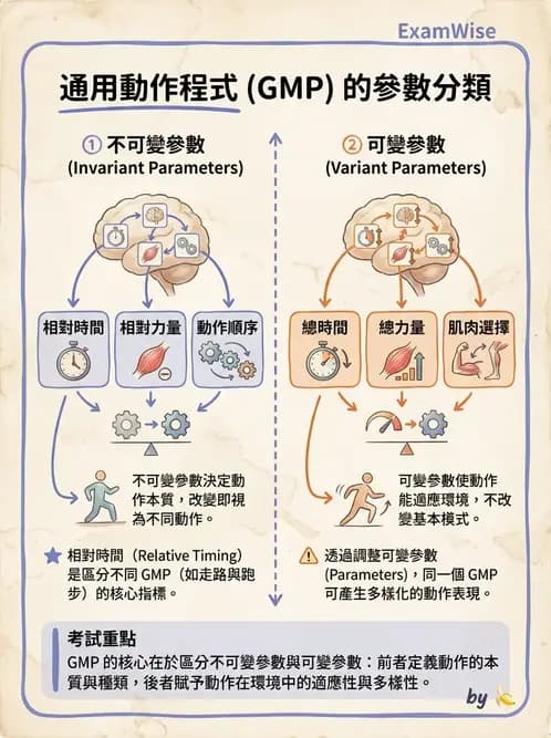 物治 - 動作控制理論 - AI 圖文解析預覽