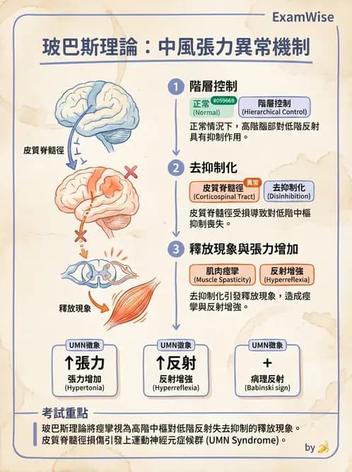 物治 - 腦中風治療手法應用 - AI 圖文解析預覽