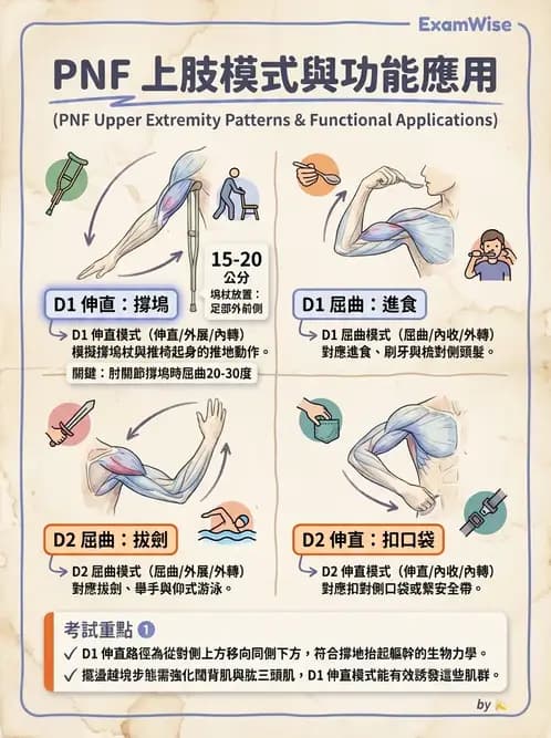 物治 - SCI功能預後與復健訓練 - AI 圖文解析預覽