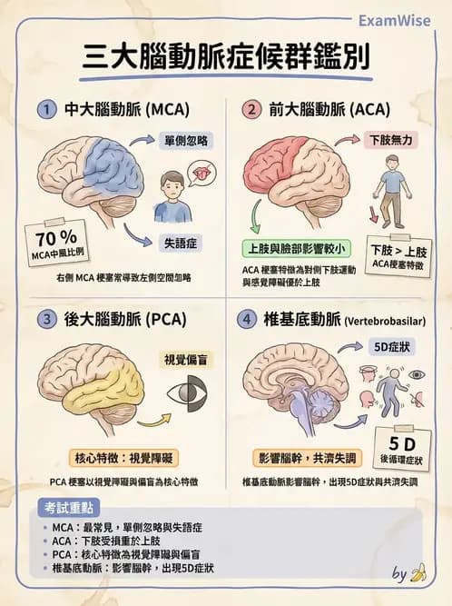 物治 - 腦中風感覺知覺與認知 - AI 圖文解析預覽