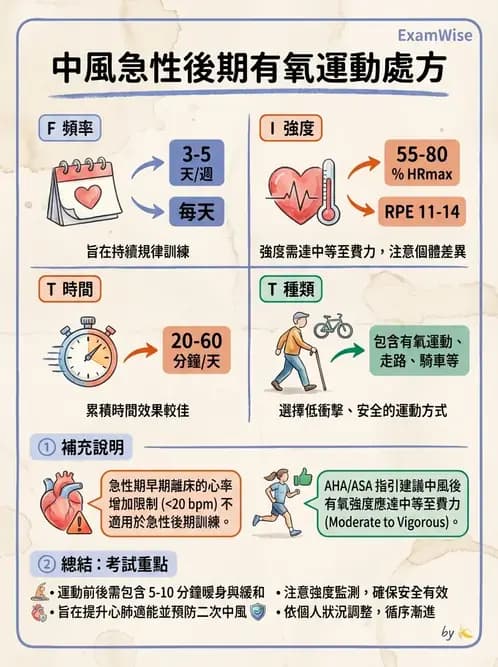 物治 - 腦中風上肢肩部與體適能 - AI 圖文解析預覽