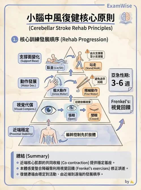 物治 - 小腦疾病物理治療 - AI 圖文解析預覽