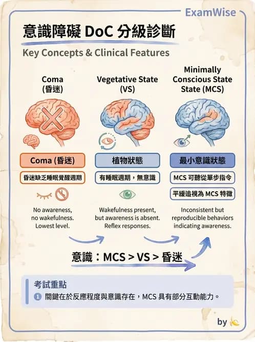 物治 - TBI LOCF分級與復健 - AI 圖文解析預覽