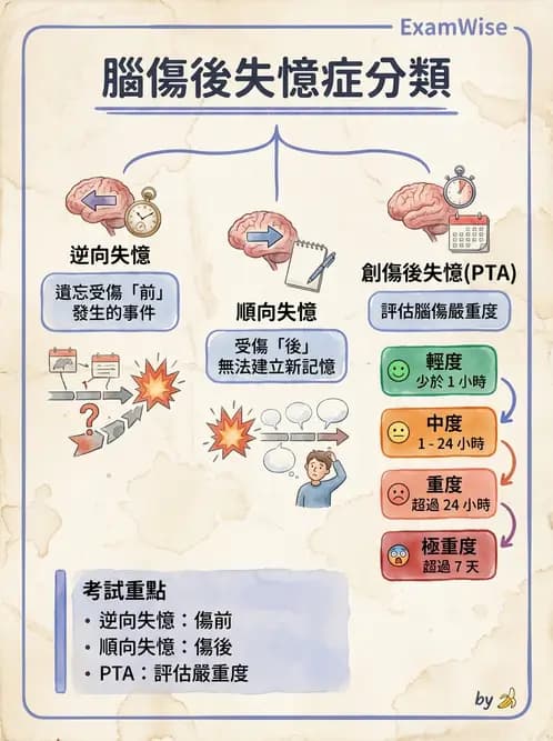 物治 - TBI LOCF分級與復健 - AI 圖文解析預覽