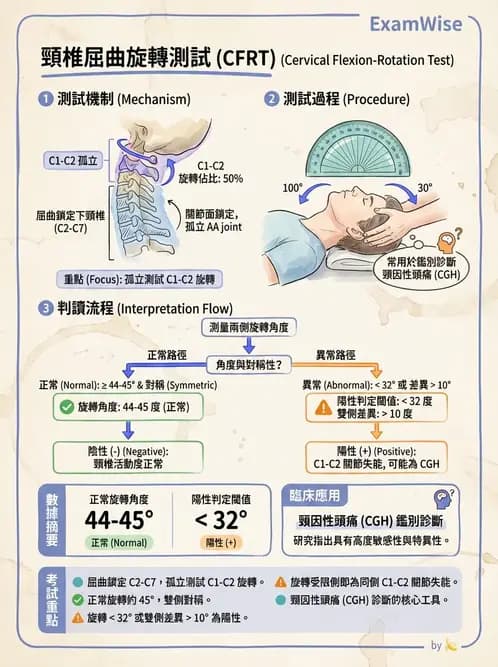 物治 - 頸椎評估與病理 - AI 圖文解析預覽