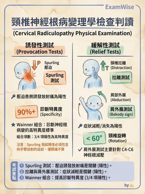 物治 - 頸椎評估與病理 - AI 圖文解析預覽