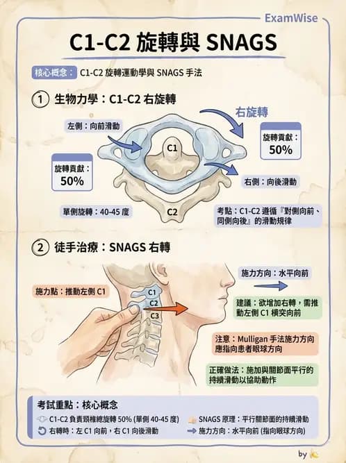 物治 - 頸椎評估與病理 - AI 圖文解析預覽