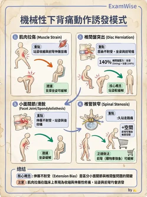 物治 - 腰椎椎間盤與脊椎狹窄 - AI 圖文解析預覽