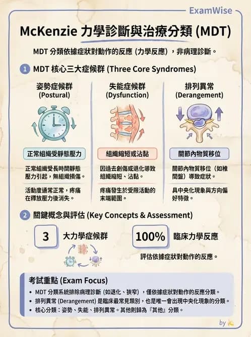 物治 - 腰椎穩定訓練與治療原則 - AI 圖文解析預覽