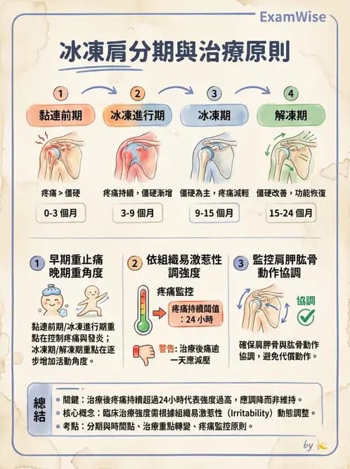 物治 - 冰凍肩與胸廓出口症候群 - AI 圖文解析預覽