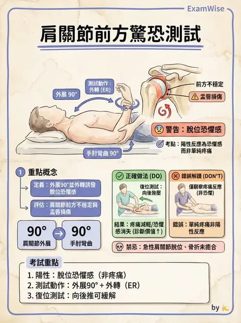 物治 - 肩關節不穩定與盂唇損傷 - AI 圖文解析預覽
