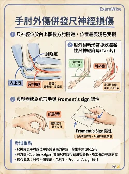 物治 - 肘及前臂關節 - AI 圖文解析預覽