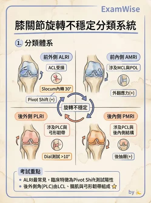 物治 - 膝關節韌帶與半月板損傷 - AI 圖文解析預覽
