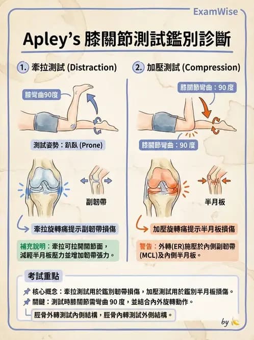 物治 - 膝關節韌帶與半月板損傷 - AI 圖文解析預覽