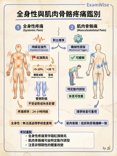 物治 - 初級照護與鑑別診斷 - AI 圖文解析預覽