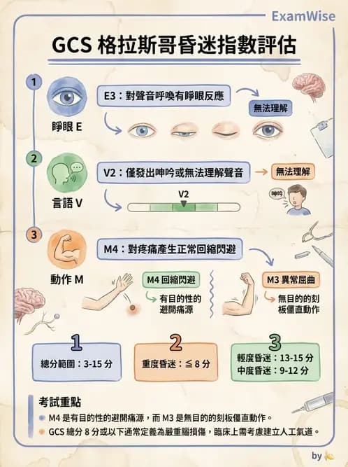 物治 - 競技與運動防護 - AI 圖文解析預覽