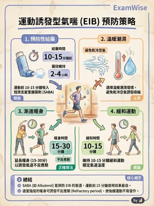 物治 - 阻塞性肺疾病物理治療 - AI 圖文解析預覽