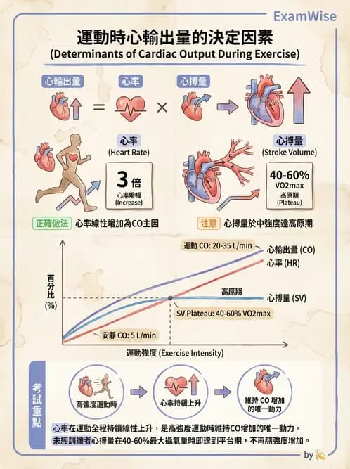 物治 - 循環解剖、生理與血流動力學 - AI 圖文解析預覽