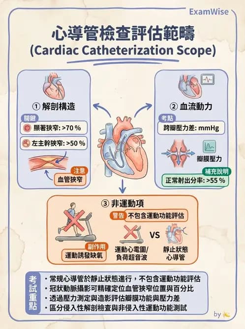 物治 - 心臟診斷工具與運動測試 - AI 圖文解析預覽