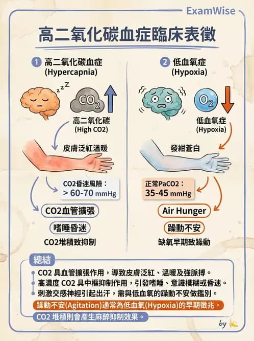 物治 - 肺功能測試與血氣體分析 - AI 圖文解析預覽