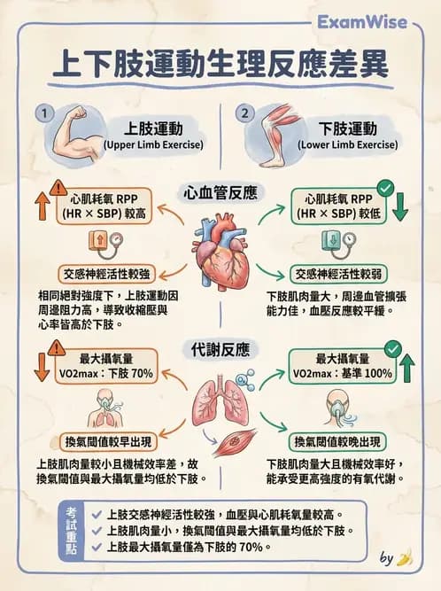 物治 - 運動生理學與能量代謝 - AI 圖文解析預覽