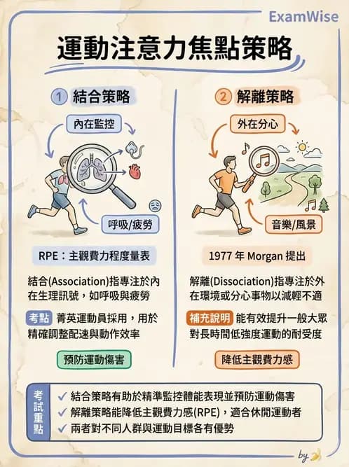 物治 - 運動篩檢與處方設計 - AI 圖文解析預覽