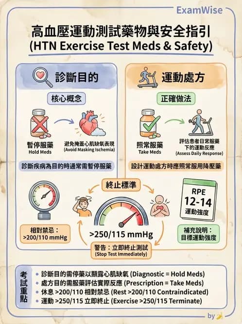 物治 - 心臟診斷工具與運動測試 - AI 圖文解析預覽