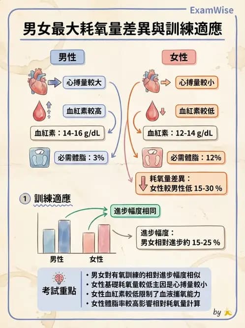 物治 - 運動生理學與能量代謝 - AI 圖文解析預覽