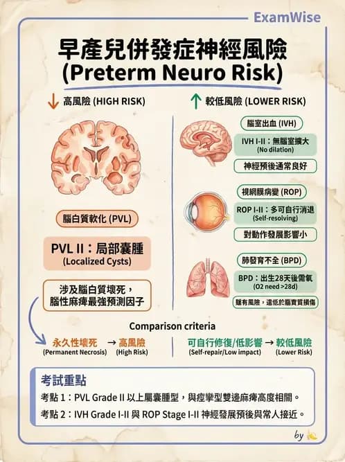 物治 - 新生兒與嬰兒發展評估 - AI 圖文解析預覽