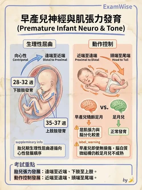 物治 - 新生兒與嬰兒發展評估 - AI 圖文解析預覽