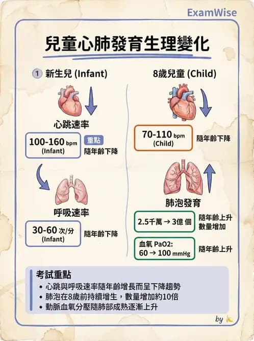 物治 - 小兒呼吸疾患與NICU物理治療 - AI 圖文解析預覽
