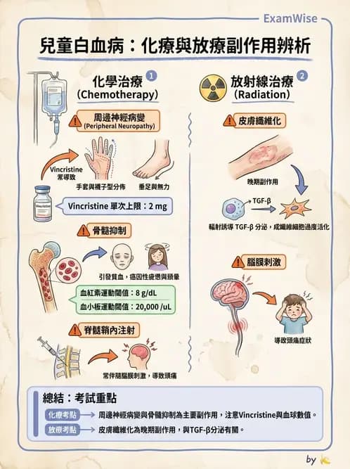 物治 - 小兒心臟、癌症與外傷物理治療 - AI 圖文解析預覽