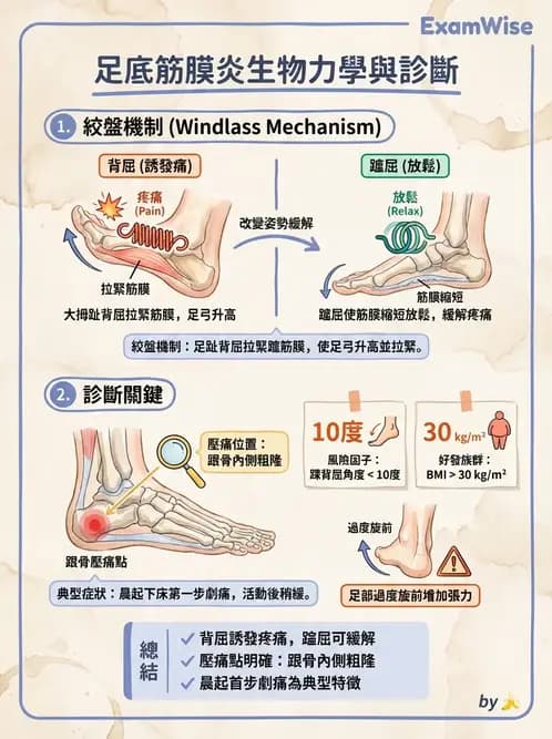 物治 - 踝與足部肌動學與生物力學 - AI 圖文解析預覽